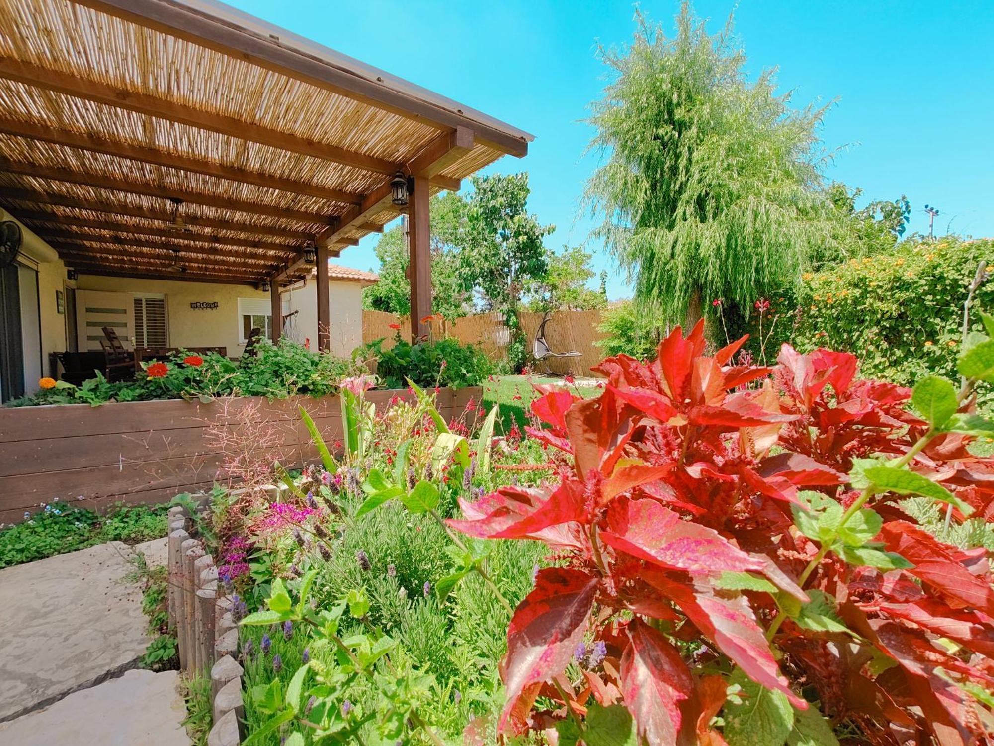 Galilee Best Location 'En Dor Quarto foto